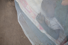 Malaria, mosquito nets and infant mortality in Africa - Paris School of  Economics